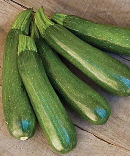 25 Zucchini Dark Green Squash, Nongmo, Heirloom  Seeds, Vegetable Seed Buy Seeds Online