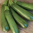 25 Zucchini Dark Green Squash, Nongmo, Heirloom  Seeds, Vegetable Seed Buy Seeds Online