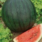 25 Sugar Baby Watermelon Seeds Heirloom  Nongmo  1043  Buy Seeds Online