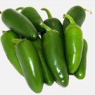 30 Early Jalapeno Pepper Seeds Heirloom NonGmo  1002 Buy Seeds Online