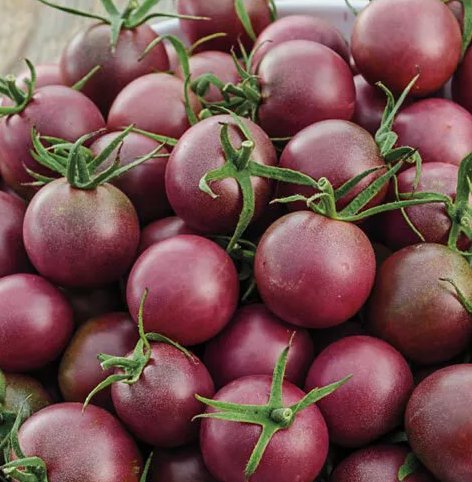 30 Black Cherry Tomato Seeds Nongmo  Seed Store 1028 Buy Seeds Online