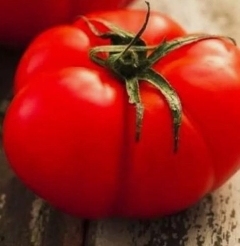50 Beefsteak Tomato Seeds Heirloom Tomato Seeds Fresh Nongmo Vegetable Seeds Buy Seeds Online