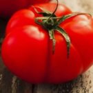 50 Beefsteak Tomato Seeds Heirloom Tomato Seeds Fresh Nongmo Vegetable Seeds Buy Seeds Online