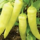 25 Sweet Banana Pepper Seeds Nongmo Pepper Seeds Fresh Heirloom Garden Seeds Buy Seeds Online