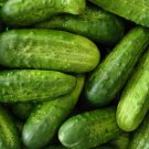 30 Homemade Pickles Cucumber Seeds Nongmo Heirloom Variety Sizes Buy Seeds Online