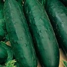 10 Marketmore 76 Cucumber Seeds Nongmo Cucumber Seeds Heirloom Garden Seeds Buy Seeds Online