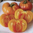 30 Pineapple Tomato Seeds NonGmo Heirloom BiColored Beefsteak  Buy Seeds Online