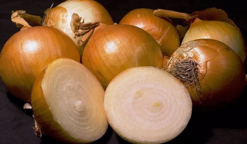 250 Yellow Sweet Spanish Onion Seeds NonGmo Variety Sizes  Buy Seeds Online
