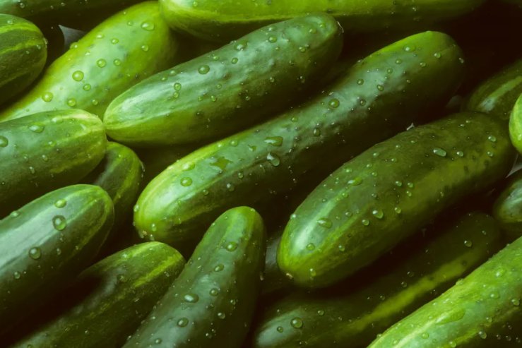 30 Garden Sweet Cucumber Seeds Burpless Organic Non-Gmo Buy Seeds Online
