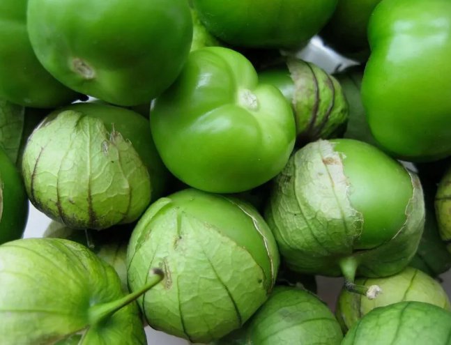 50 Grande Rio Verde Tomatillo  Seeds Non-Gmo Mexican Husk Tomato Buy Seeds Online