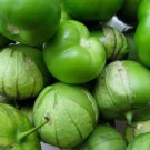 50 Grande Rio Verde Tomatillo  Seeds Non-Gmo Mexican Husk Tomato Buy Seeds Online