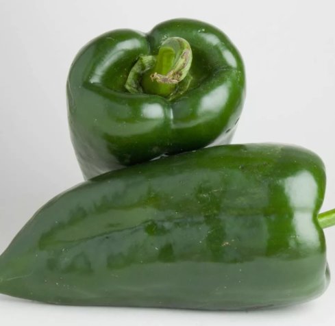 15 Poblano Pepper Seeds Heirloom / Non-Gmo Ping Seed Store 1011 Buy Seeds Online