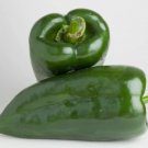 15 Poblano Pepper Seeds Heirloom / Non-Gmo Ping Seed Store 1011 Buy Seeds Online