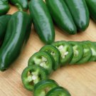 50 Jalapeno M Pepper Seeds Hot Pepper Non-Gmo Jalapeno Poppers Buy Seeds Online