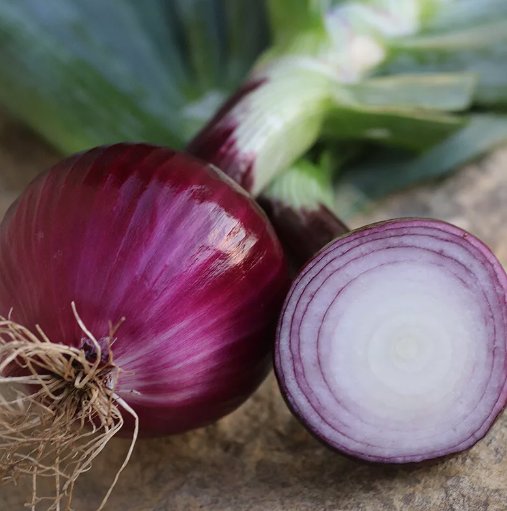 250 Ruby Red Onion Seeds Non-Gmo Long Day Variety Sizes  Buy Seeds Online