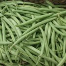 10 Provider Bush Green Bean Seeds Non-Gmo Stringless High Yields Buy Seeds Online
