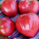 30 Oxheart Tomato Seeds Giant Tomato Huge Non-Gmo Variety Sizes  Buy Seeds Online