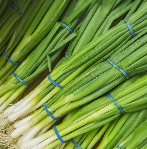 250 Evergreen White Bunching Onion Seeds Scallions Non-Gmo Heirlom Buy Seeds Online