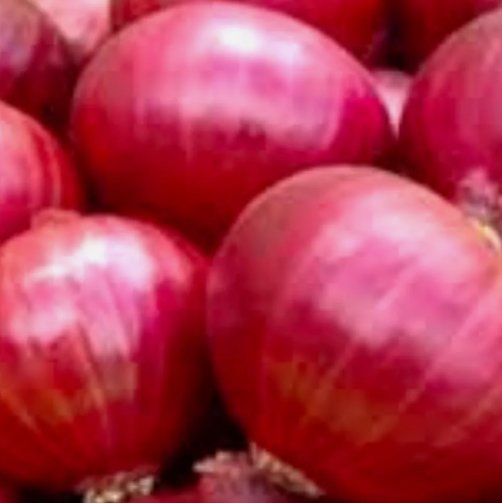 50 Red Creole Onion Seeds Non-Gmo Onion Seeds Fresh Heirloom Garden Buy Seeds Online