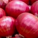 50 Red Creole Onion Seeds Non-Gmo Onion Seeds Fresh Heirloom Garden Buy Seeds Online
