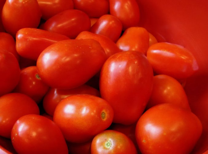 50 Roma Italian Tomato Seeds Heirloom Nongmo Variety Sizes  Buy Seeds Online