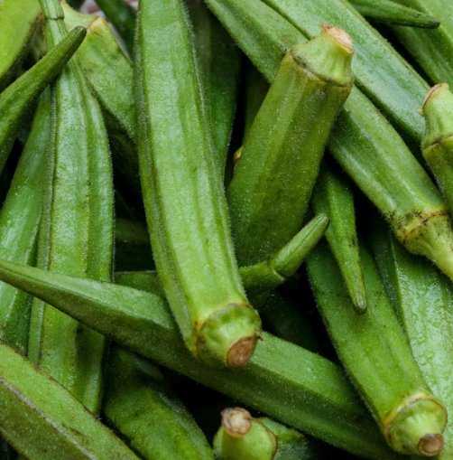 30 Perkins Long Pod Okra Seeds Non-Gmo Spineless Large Okra  Buy Seeds Online
