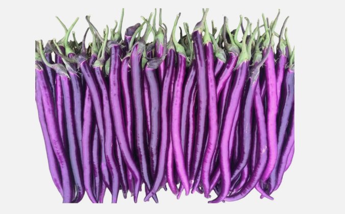 50 mixed color sunflower seeds Long Purple Eggplant Seeds Buy Seeds Online