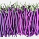50 mixed color sunflower seeds Long Purple Eggplant Seeds Buy Seeds Online