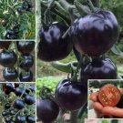 100 European Black Cherry Tomato Seeds Heirloom Non-GMO Rich Flavor Buy Seeds Online