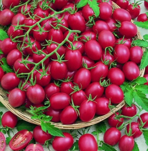 200 Tomato Cherry Pink Grape Seeds Heirloom Non-GMO Seeds Buy Seeds Online