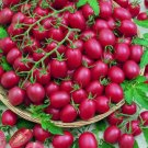 200 Tomato Cherry Pink Grape Seeds Heirloom Non-GMO Seeds Buy Seeds Online