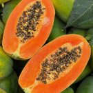 50 Red Heart Creamy Papaya Seeds The Best of Papayas for Your Home GardenBuy Seeds Online