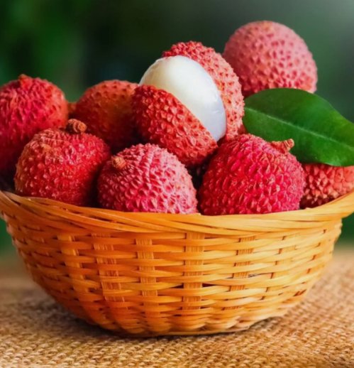 10 Lychee Tropical Fruit Heirloom Seeds Non-GMO Litchi Seed for Gardening Buy Seeds Online