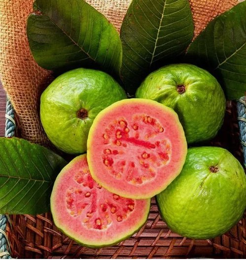 50 Tropical Strawberry Guava Organic Pink Guava Seeds Exotic Flavors Buy Seeds Online