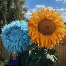 50 Rare Yellow & Blue Mixed Enchanting Giant Teddy Bear Sunflower Seeds Buy Seeds Online