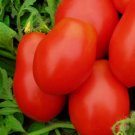 50 Roma Vf Tomato Seeds Non-Gmo Tomato Seeds Fresh Heirloom Vegetable Seeds Buy Seeds Online