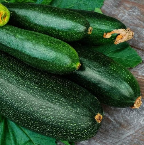 25 Dark Green Zucchini Summer Squash Seeds Non-Gmo Variety Sizes  Buy Seeds Online
