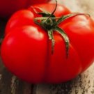 50 Beefsteak Tomato Seeds Heirloom Tomato Seeds Fresh Nongmo Vegetable Seeds Buy Seeds Online