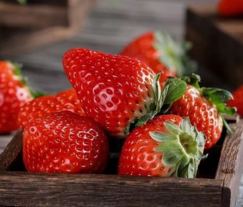 100 Red Strawberry Seeds Big Flesh Fruit Perennial Container Garden  Buy Seeds Online