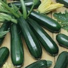 25 Premium Black Beauty Zucchini Seeds. Fresh Organic Seeds. Most Popular Ever! Buy Seeds Online