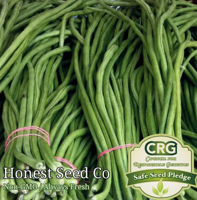 40 Yard Long Green Bean Seeds Non-Gmo Garden Seeds From Buy Seeds Online