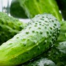 25 Boston Pickling Cucumber Seeds Non-Gmo Cucumber Seeds Heirloom Garden Seeds Buy Seeds Online