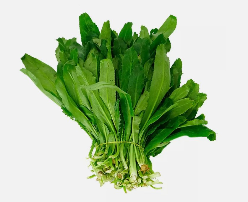 700 Fresh Cilantro Coriander Culantro Ng&Atilde;&sup2; Gai Seeds Non-Gmo Buy Seeds Online