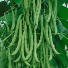 30 Kentucky Wonder Pole Green Bean Seeds Non-Gmo High Yielding  Buy Seeds Online