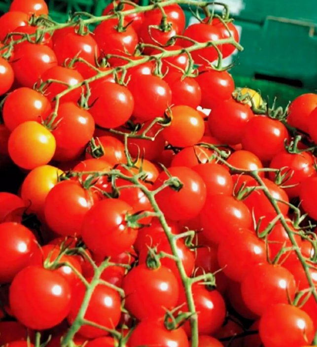 250 Cherry Tomatoes Super Sweet Large Seeds Sweet Tasty Heirloom Non-Gmo Rare Buy Seeds Online