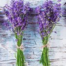 600 Lavender Seeds (Lavandula Angustifolia) Perennial Non-Gmo Herb Usa Buy Seeds Online