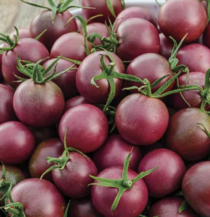 30 Black Cherry Tomato Seeds Heirloom / Non-Gmo G Seed Store 1028 Buy Seeds Online
