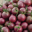 30 Black Cherry Tomato Seeds Heirloom / Non-Gmo G Seed Store 1028 Buy Seeds Online