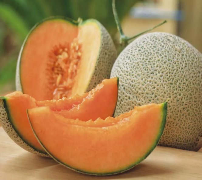 50 Jumbo Hales Cantaloupe Melon Seeds Non-Gmo Heirloom Fresh Garden Seeds Buy Seeds Online