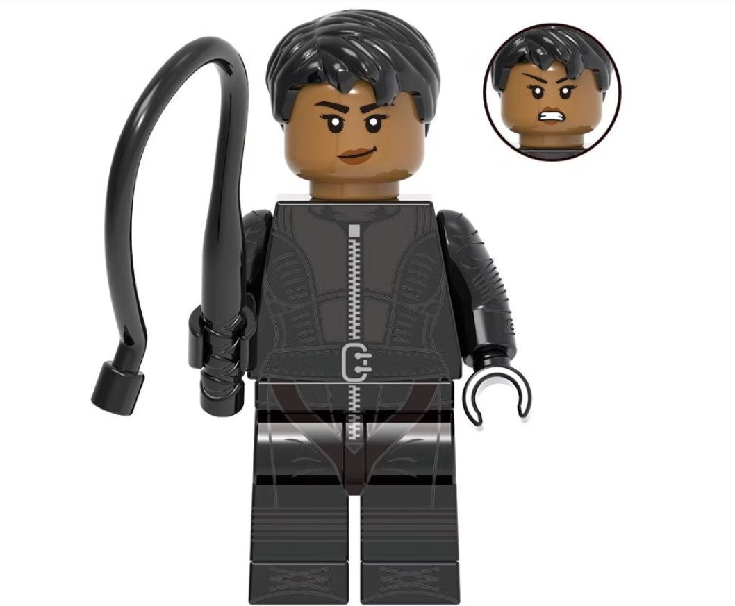 Catwoman Minifigure Semut Toys Minifigure Collection